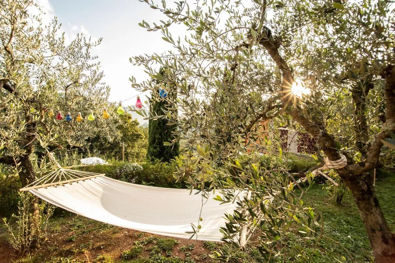 Lejlighed Casetta Di Butia, Appartamento Iris Lucca